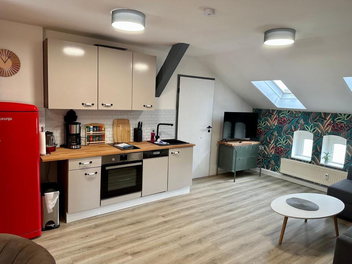 Apartment Zum Bunten Schmetterling Inkl. Parkplatz Ерфурт Екстериор снимка